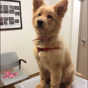 Meet your Posher, Andrew